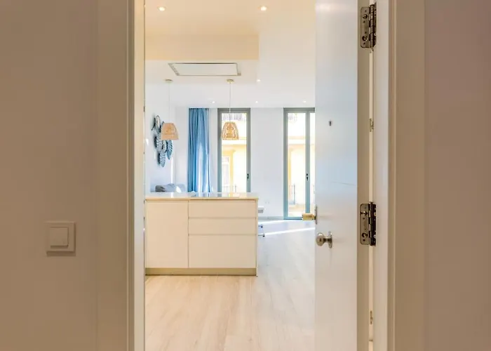 Modern Refurbished - 1bd 1bth - Centro